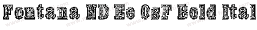 Fontana ND Ee OsF Bold Italic字体转换